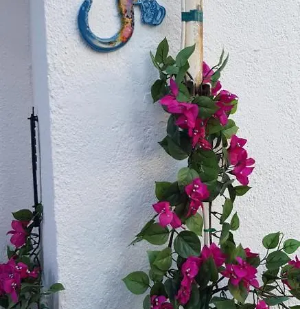 Casa Azul, Centro Historico De Casa vacanze